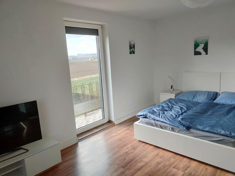 Ferienwohnung Laendlich Und In Seenaehe Шёрфлинг Экстерьер фото